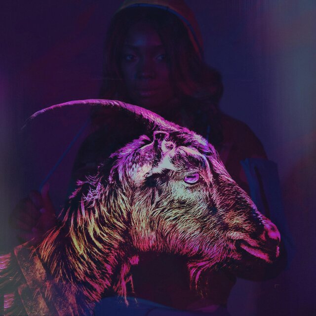 Goat 8 0 Eights