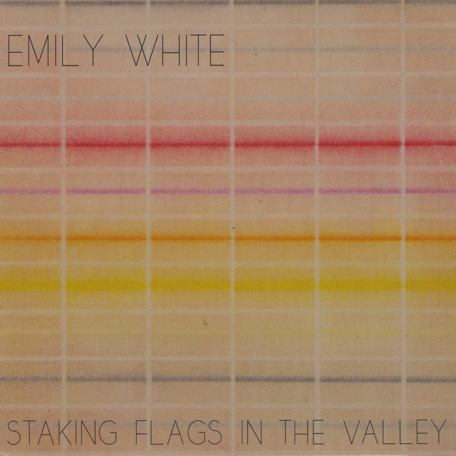 Staking Flags in the Valley