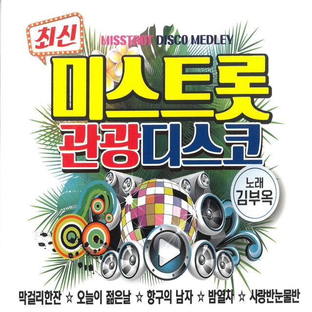 최신 미스트롯 관광디스코