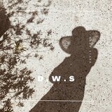 D W S