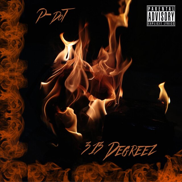 313 Degreez