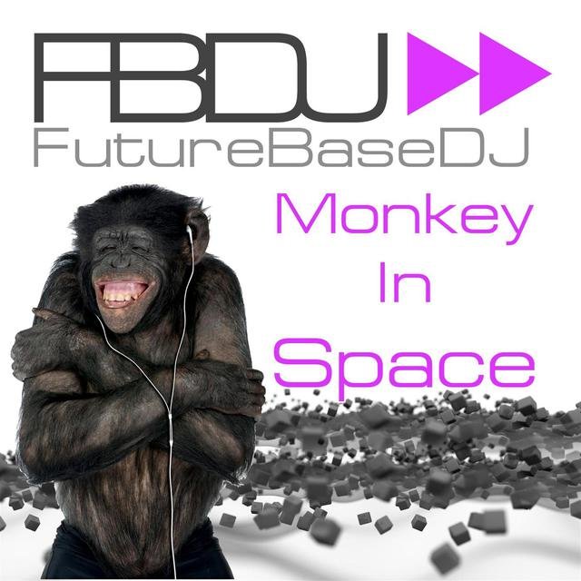 Monkey in Space