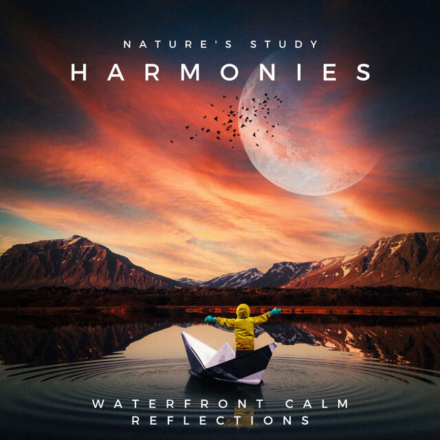 Piano Insights: Nature's Study Harmonies