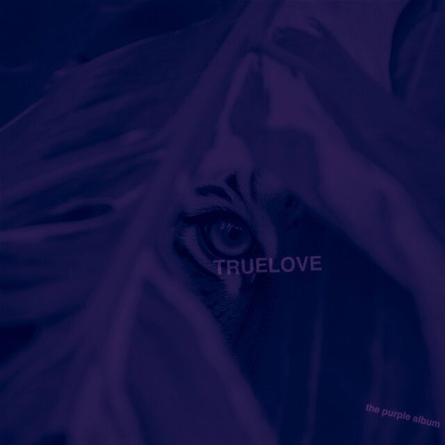 the purple album