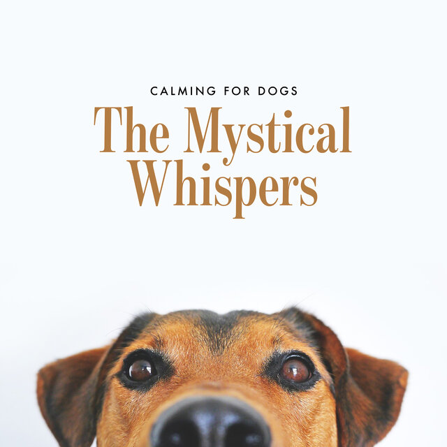 The Mystical Whispers