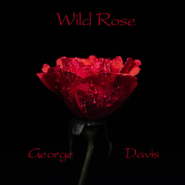 Wild Rose