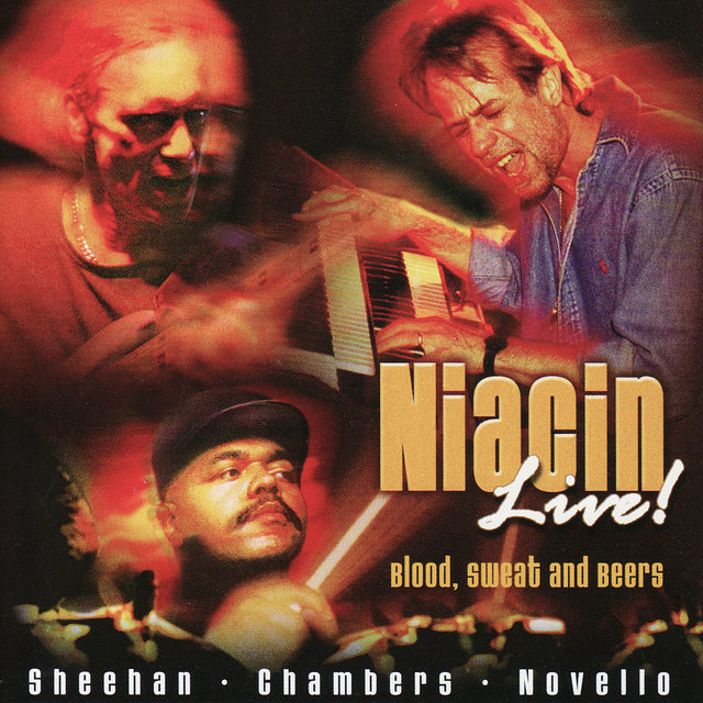 Niacin Live! Blood Sweat and Beers (Live)