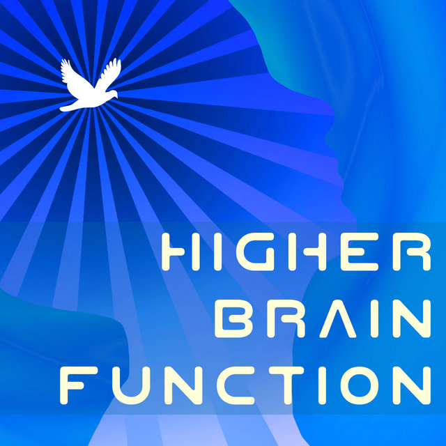 Higher Brain Function - Brainstorm Music, Songs for Studying and Homework