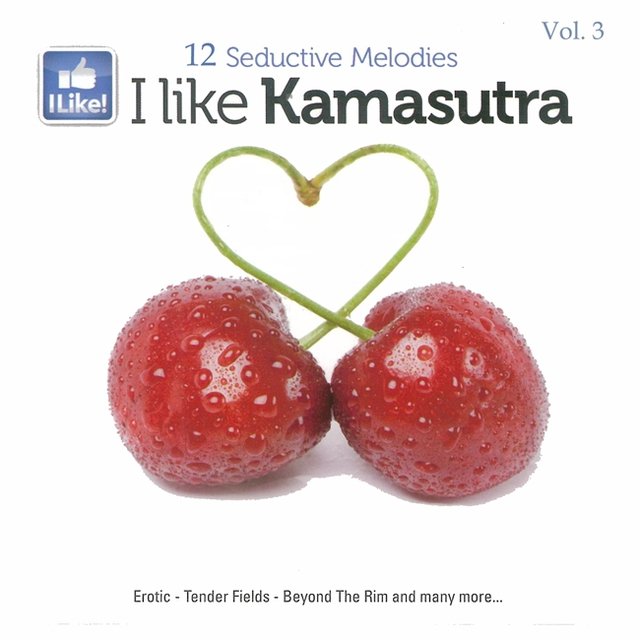 I Like Kamasutra, Vol. 3