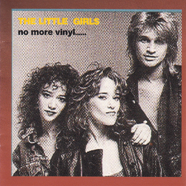 No More Vinyl..... (Out of Print)