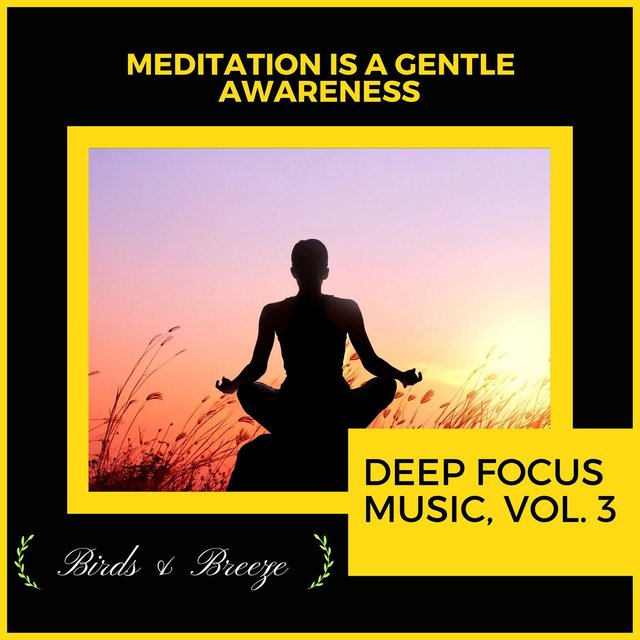 Meditation Is A Gentle Awareness - Deep Focus Music, Vol. 3