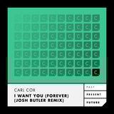 I Want You (Forever)