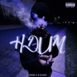 HDUM