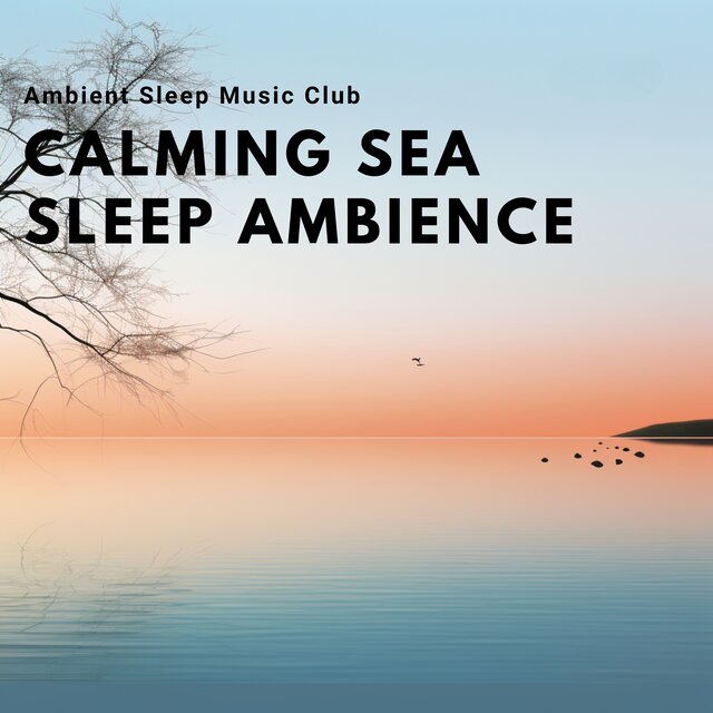 Calming Sea Sleep Ambience