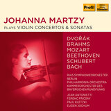 Fantasie in C Major, Op. 159, D. 934