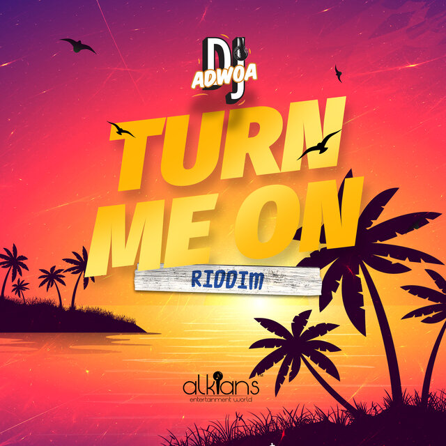 Turn Me on (Riddim)