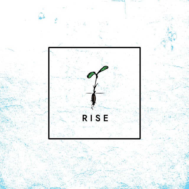 Rise