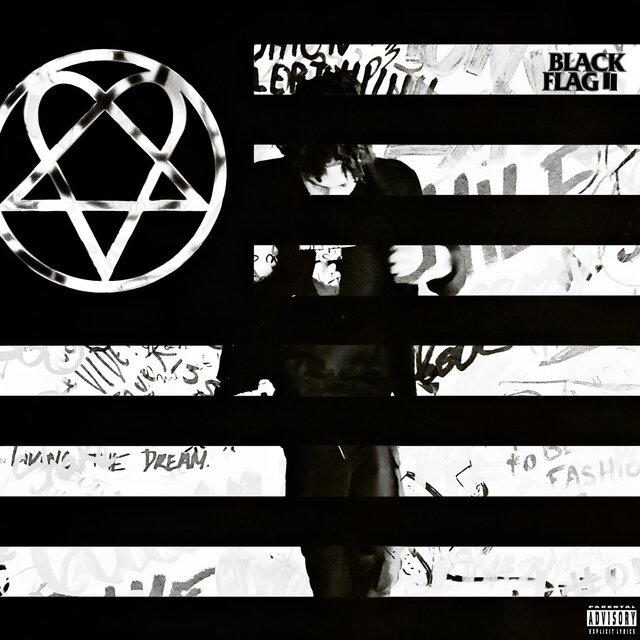 Black Flag 2