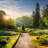 Soft Morning Glow