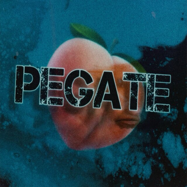 PEGATE