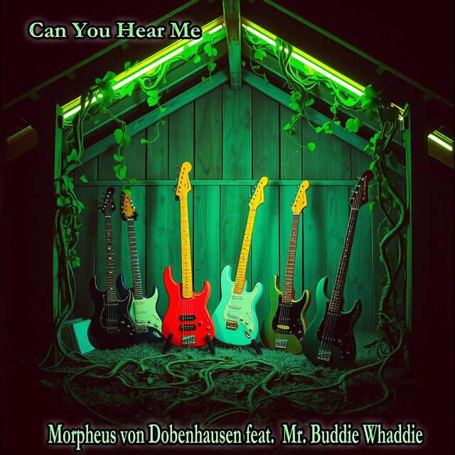 Can You Hear Me