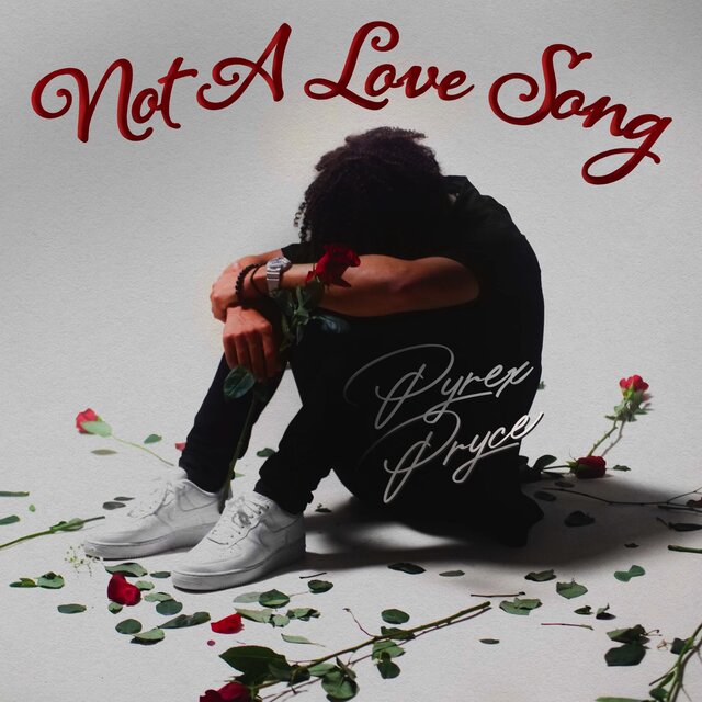 Not A Love Song