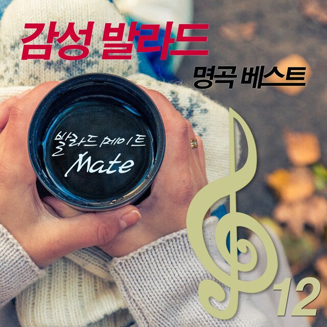 감성 발라드 명곡 베스트 12집
