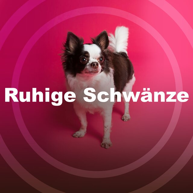 Ruhige Schwänze