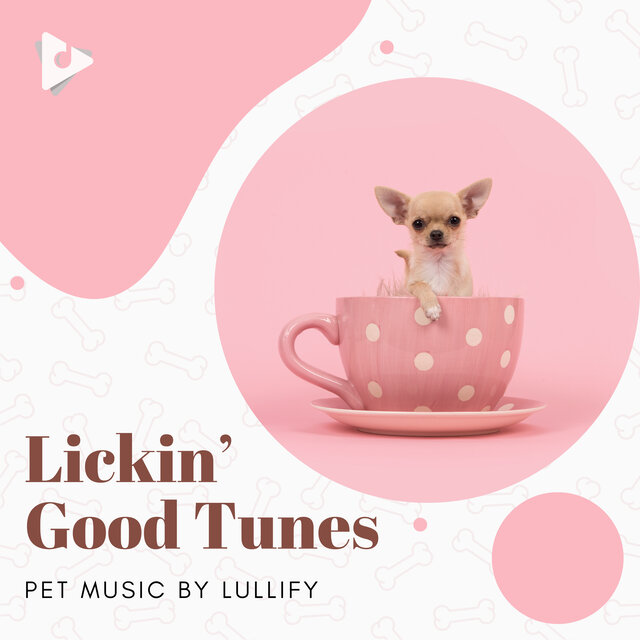 Lickin’ Good Tunes