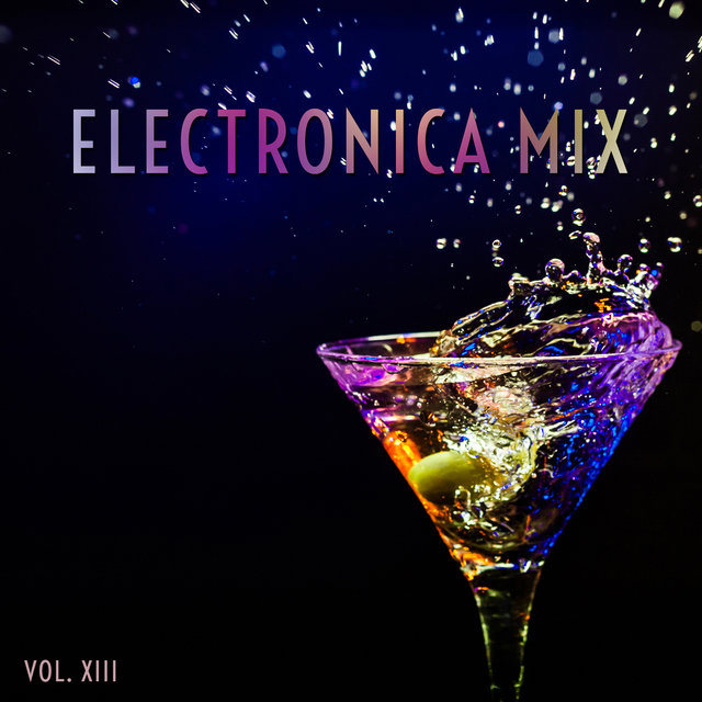 007 Electronica Mix, Vol. 13