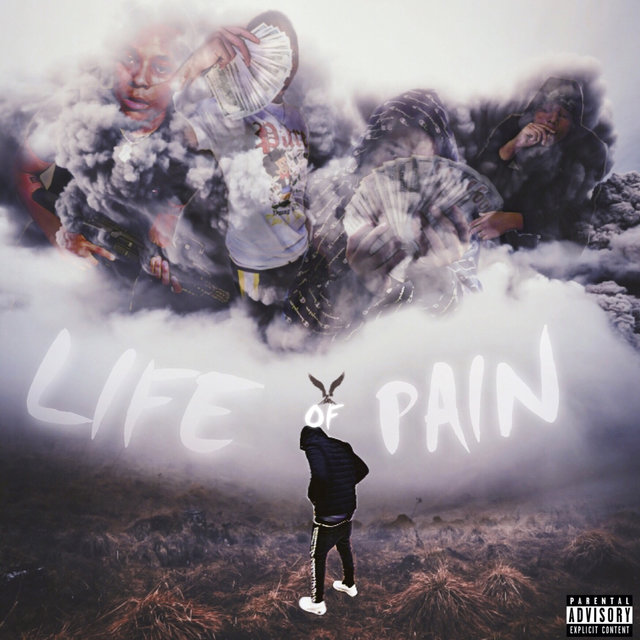 Life Of Pain