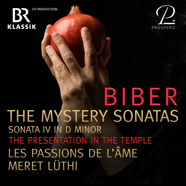 Mystery (Rosary) Sonatas, Sonata No. 4 in D Minor 