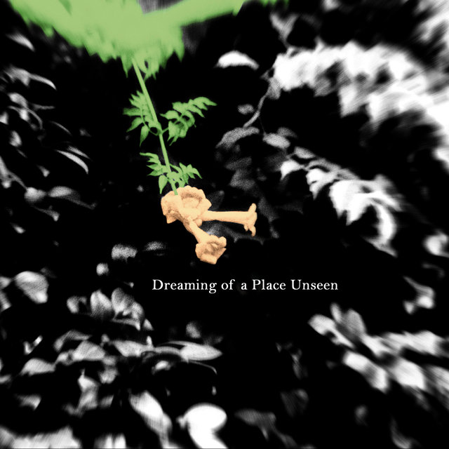 Dreaming of a Place Unseen