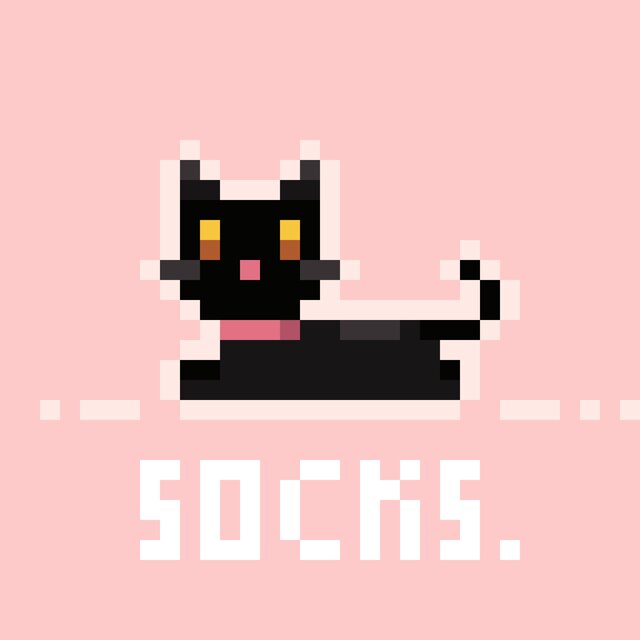 i'm your cat