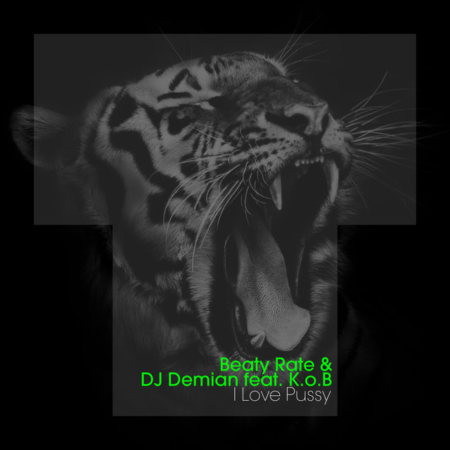 I Love Pussy