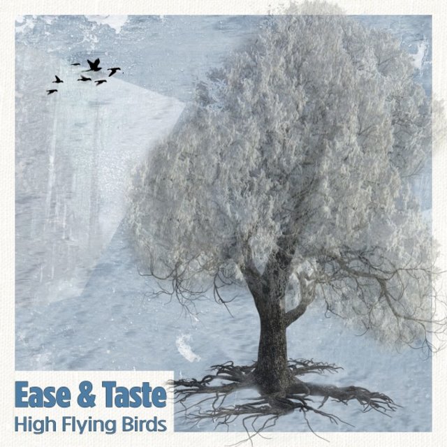 High Flying Birds
