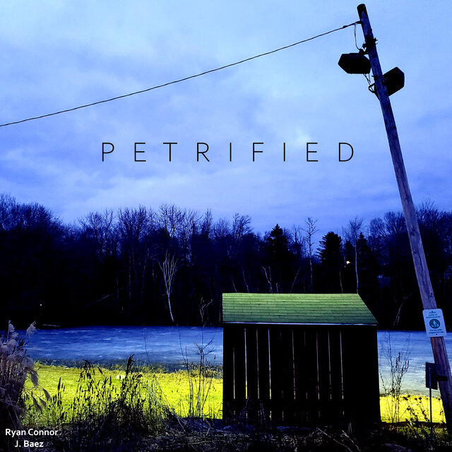 Petrified