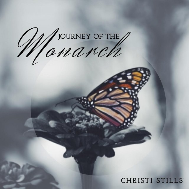 Journey of the Monarch