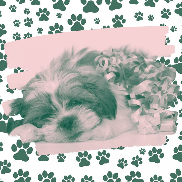 Feelings for Resting Pups