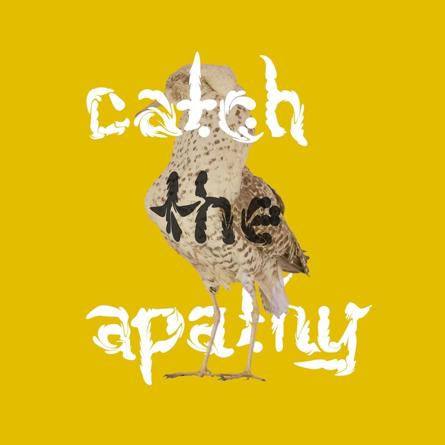 Catch The Apathy