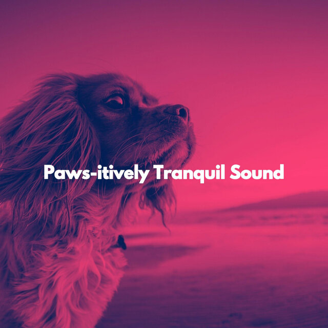 Paws-itively Tranquil Sound