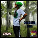 COCONUT TREE