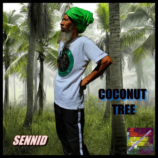 COCONUT TREE