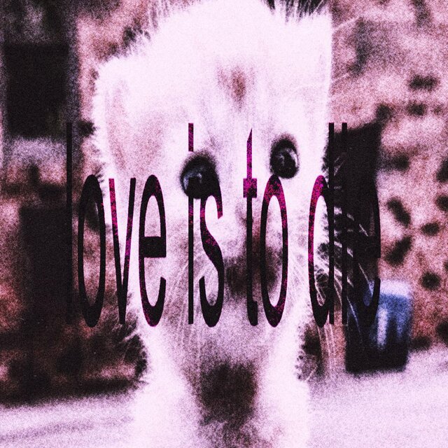 love is to die