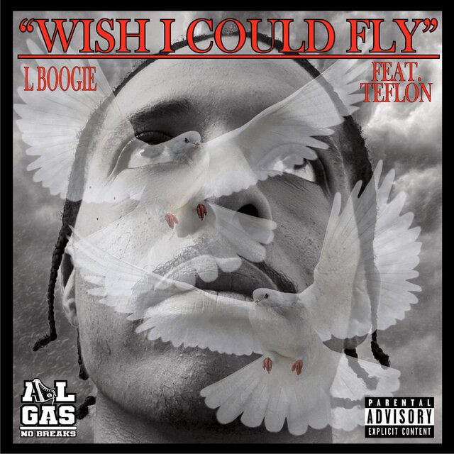 Wish I Could Fly (feat. Teflon)
