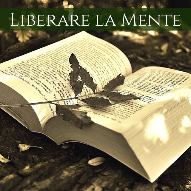 Liberare la Mente - Musica di Sottofondo Celestiale per Studiare e Concentrarsi Profondamente