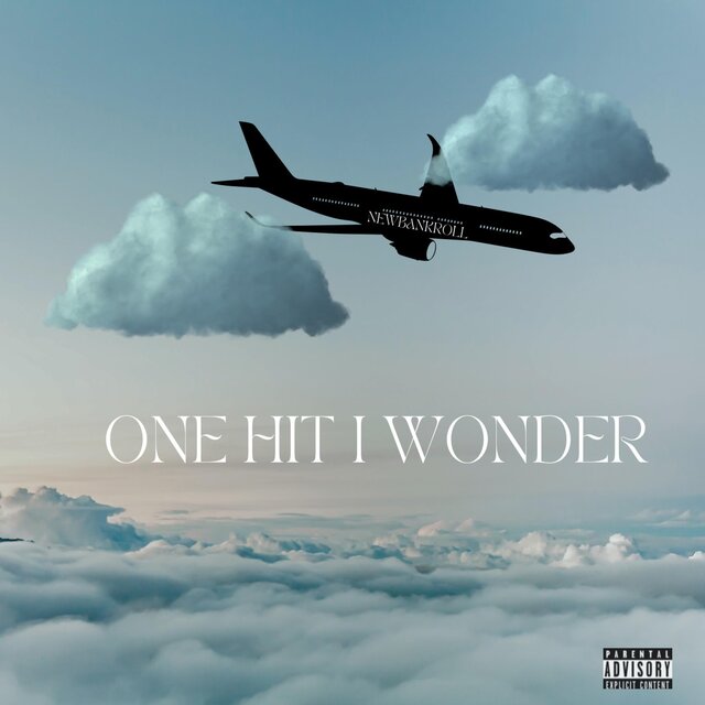 ONE HIT I WONDER