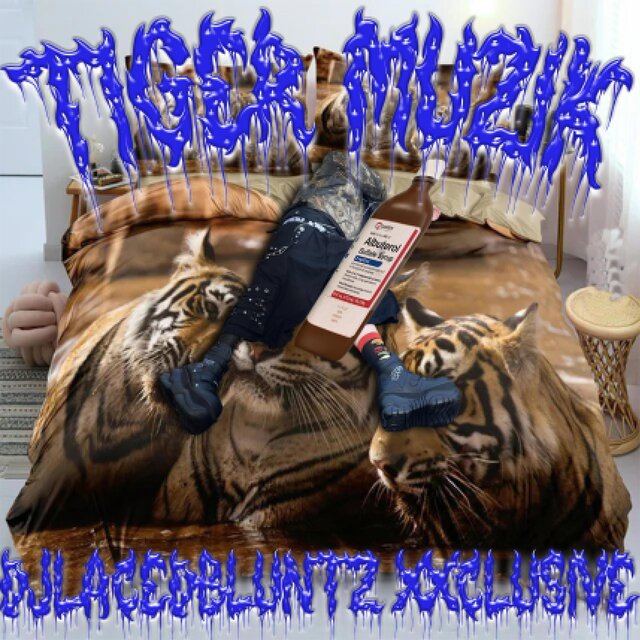 tiger muzik