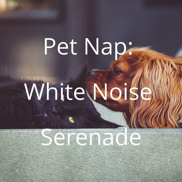 Pet Nap: White Noise Serenade