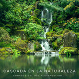 Rumbo De Cataratas